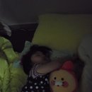 나비 게임장 이미지