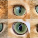 라운드브리(roundbri) 이미지