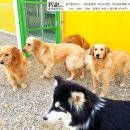 설악언니 이미지