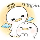 나나쿠쿠