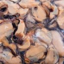 해녀언니네 이미지