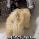 멈무