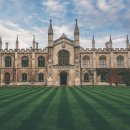 나무와중학교 이미지