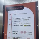 동탄호수공원 여자커트 미용실추천 분위기 실력 다 갖춘 샵일구구일