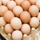 달걀 많이 먹으면 당뇨병 위험 높인다고?···한국인 9만 명 추적 관찰했더니 ‘반전 결과’ 이미지