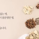 도척경희한의원 네이버블로그
