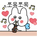 으르렁애견카페 이미지