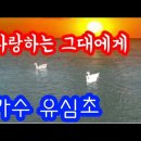 제56회:남도에서3년ㆍ강천산등산기(순창.'23.8.12) 이미지