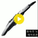 에어로폰 연주- 동숙의 노래(문주란) 이미지