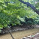 원더팜민박 | [공주] 원더팜, 정안계곡 평상대여