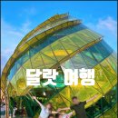 맞춤형코스 이미지