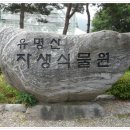 유명산자생식물원-홍천캠핑장 1박2일 교육 이미지