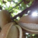 정운농장 이미지