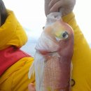 피쉬헌터 이미지