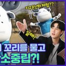 (주)볼보자동차코리아 네이버블로그