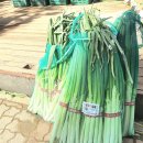 하늘이네 이미지