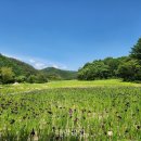 자생식물원 이미지