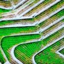 도수농장 이미지