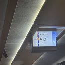 포시푸시 | [부산]롯데자이언츠 야구여행기 1탄! (노선,금강만두,카페히타로)