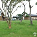 바람의바다 이미지