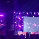 울주 피크닉 콘서트 유월의 밤 이미지