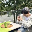 시온 이미지