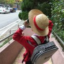 루피의보물섬 이미지