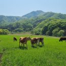 서울우유협동조합생명공학연구소 이미지
