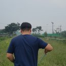 삼성면 명품가로숲길 네이버블로그