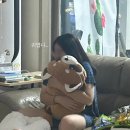 몽스김밥 | 아직도 우리는 여름 한가운데