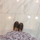 모레브A 이미지