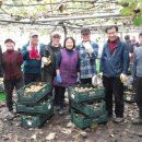 태민농장 이미지