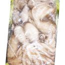 다올낙지 이미지