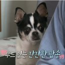 신기방기 이미지