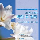 태안 백합꽃 정원 2020 이미지