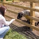 새별농장 이미지