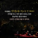 수배농장 | 보홀 반딧불투어 시간 자유여행 업체 추천 할인