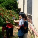 약대초등학교 이미지