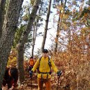 경남 고성 구절산(559m)...포근한 바닷바람에 봄날 같은 산행~.. 이미지