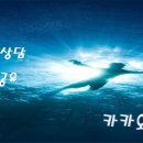 세인트1217