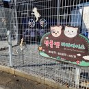 문경새재반려동물힐링센터(젠틀펫파라다이스) 이미지
