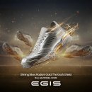 골드그라운드 이미지