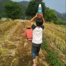 새참손칼국수 이미지