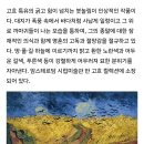 장산역1번~직진1.17Km~고흐의길ㅎ~송정옛길~송정~행운무지개!~청사포~해변숲길~미포~중동역ㅡ고흐 공부 + 표현주의 이미지