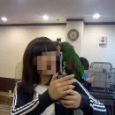 까꿍이네 이미지