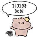 꼬그램네일