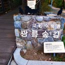 조선왕릉 순례; 남양주 광릉과 휘경원, 그 資福寺刹인 봉선사와 광릉 숲길 돌아 보기 이미지