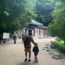 석굴암주차장 | 경주 석굴암 아이와 다녀온 후기 (가는길/주차장/불상/입장료)