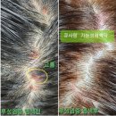 큐사랑K뷰티헤어