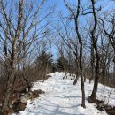 등산 쪼렙의 겨울 산행 ② - 선자령 산행편 (난이도/목장코스/대관휴게소먹거리/라면애밥 후기)